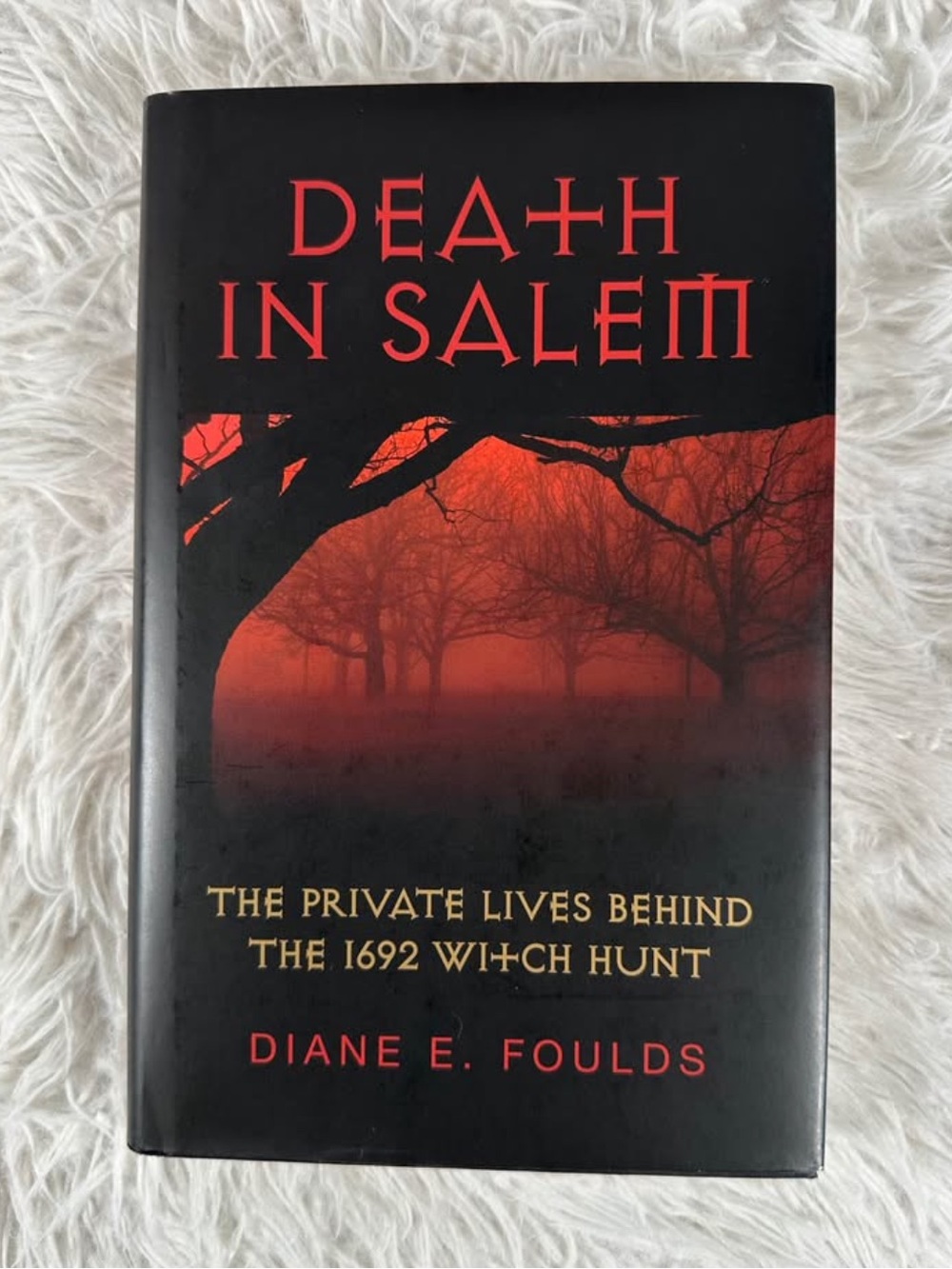 Death in Salem The Private Lives Behind the 1692 Witch Hunt by Diane Foulds Book